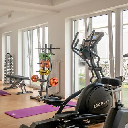 Mewa Surfingbird * コウォブジェク