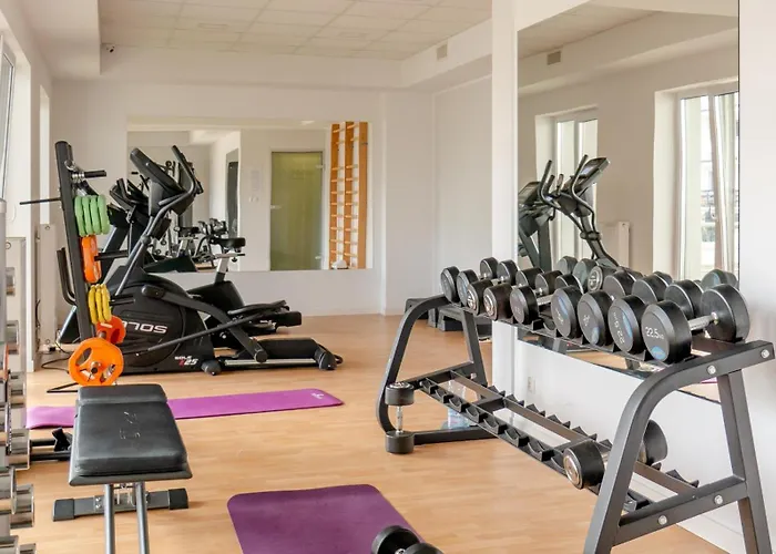 Mewa Surfingbird * كولوبرزيغ